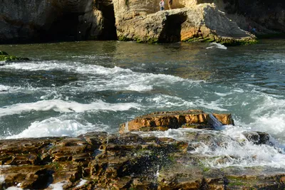 DSC_2714 (Large).JPG